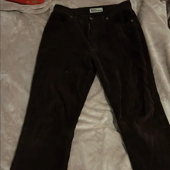 Stylish Brown Corduroy Pants - Picture 1 of 3